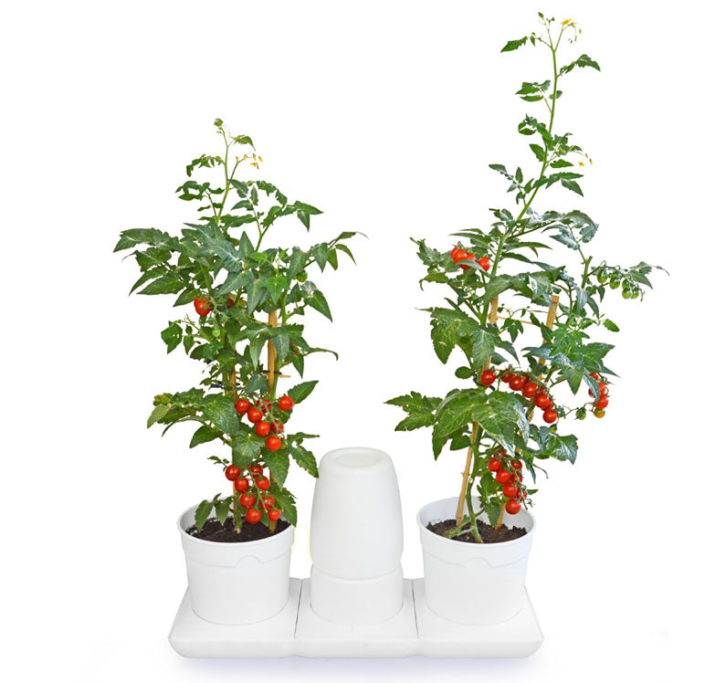 Minigarden Basic M Pots White