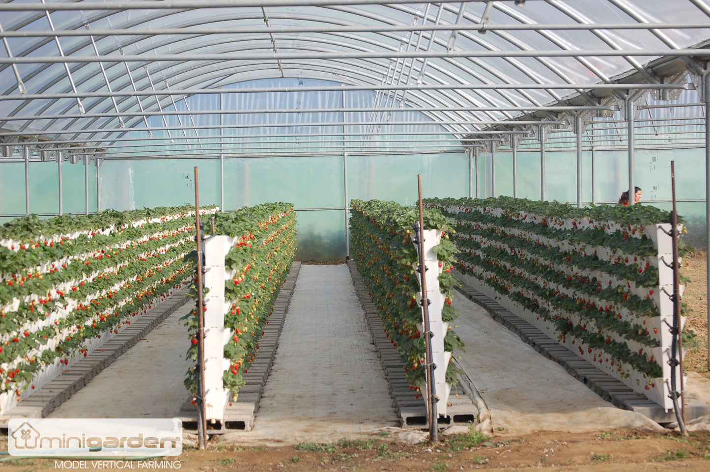 Vertical Farming Module 6 cavities (included 3 grids & 1 union)