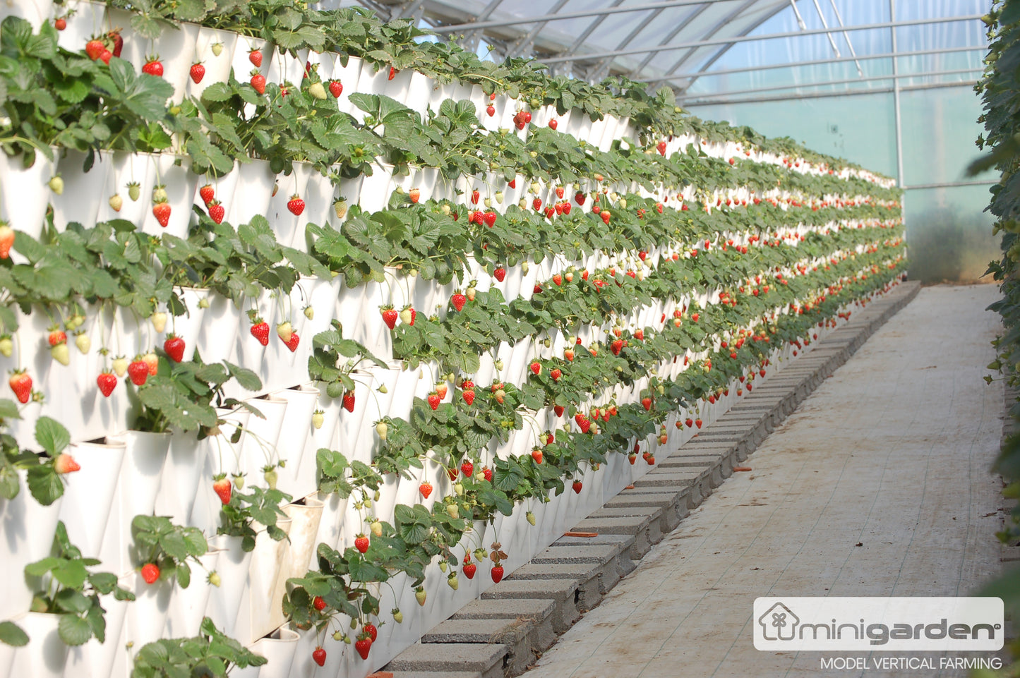 Vertical Farming Module 6 cavities (included 3 grids & 1 union)