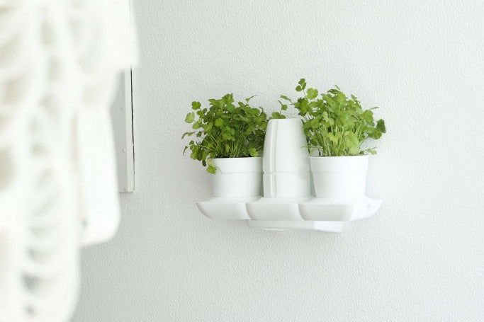 Minigarden Basic S Pots White