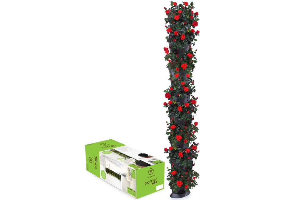 Minigarden Corner Column