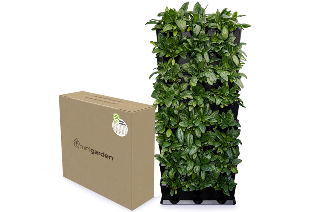 Minigarden Vertical Kitchen Garden