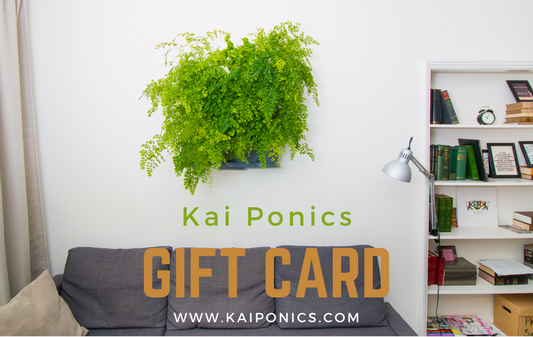 Kai Ponics Gift Card